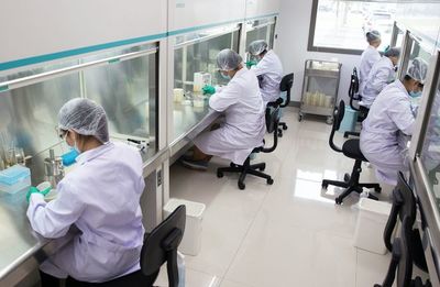 就業門檻較高的七類專業 讀研成關鍵，本科生求職難