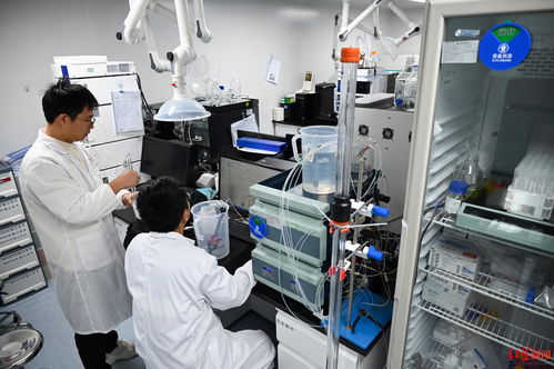 成都生物技術(shù)企業(yè)獲3億元C輪融資，加速創(chuàng)新藥物研發(fā)新篇章
