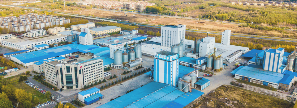 飼料生產 保障畜牧業健康發展的核心環節