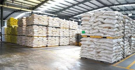 奮戰“開門紅” | 隨州正大 產銷兩旺干勁足，跑出新春“加速度”